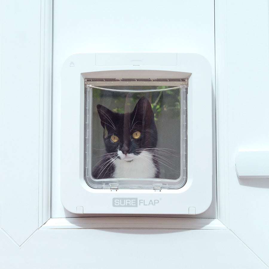 SureFlap Pet Connect Microchip Pet Door with Hub – Smart Access Control System