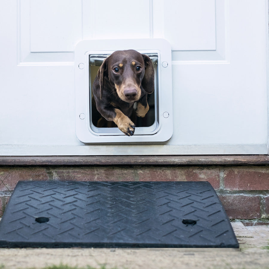 SureFlap Pet Connect Microchip Pet Door with Hub – Smart Access Control System